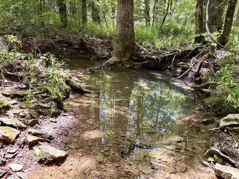 000 Bee Branch Rd, Quitman, AR 72131 photo 7