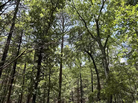 000 Bee Branch Rd, Quitman, AR 72131 photo 29
