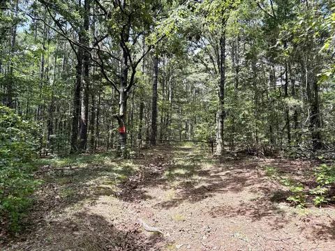 000 Bee Branch Rd, Quitman, AR 72131 photo 13