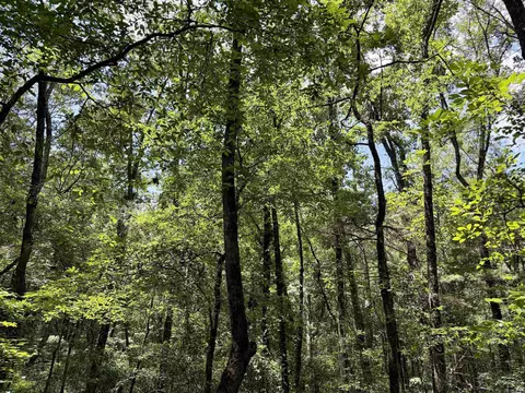 000 Bee Branch Rd, Quitman, AR 72131 photo 24