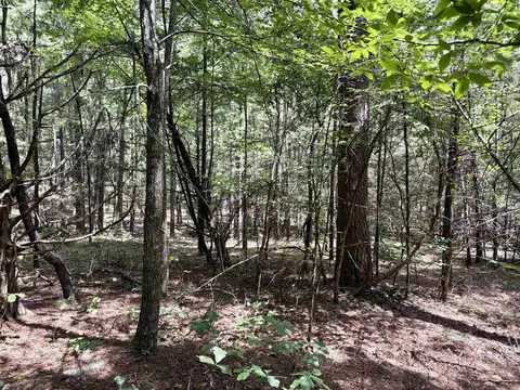 000 Bee Branch Rd, Quitman, AR 72131 photo 43
