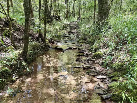 000 Bee Branch Rd, Quitman, AR 72131 photo 6