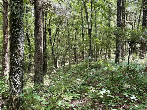000 Bee Branch Rd, Quitman, AR 72131 photo 26