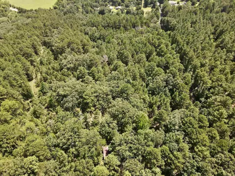 000 Bee Branch Rd, Quitman, AR 72131 photo 47