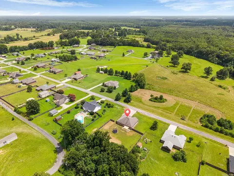 View/Area - 353 Cinel Loop, Austin, AR 72007 photo 5 of 6