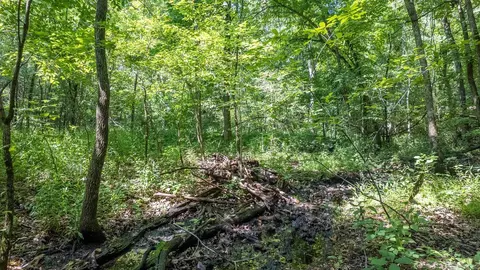 3 Upper Janes Creek Road, Ravenden, AR 72459 photo 6