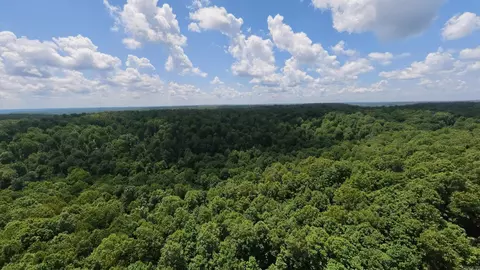 3 Upper Janes Creek Road, Ravenden, AR 72459 photo 18