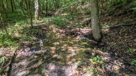 3 Upper Janes Creek Road, Ravenden, AR 72459 photo 3