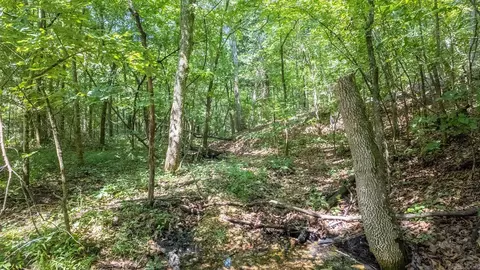 3 Upper Janes Creek Road, Ravenden, AR 72459 photo 4