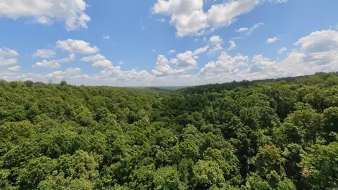 3 Upper Janes Creek Road, Ravenden, AR 72459 photo 19