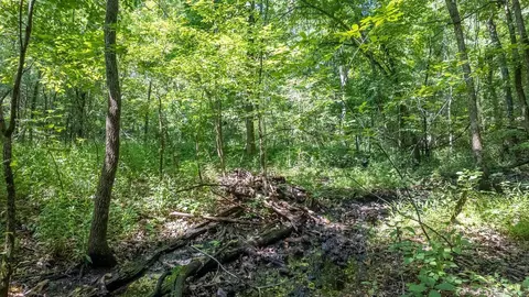 3 Upper Janes Creek Road, Ravenden, AR 72459 photo 6