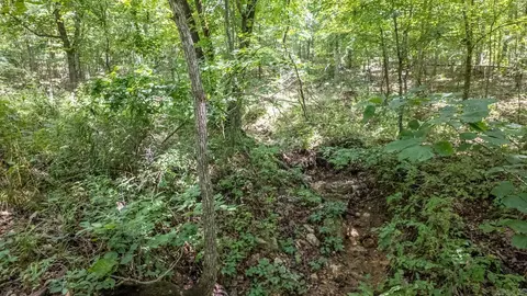 3 Upper Janes Creek Road, Ravenden, AR 72459 photo 9