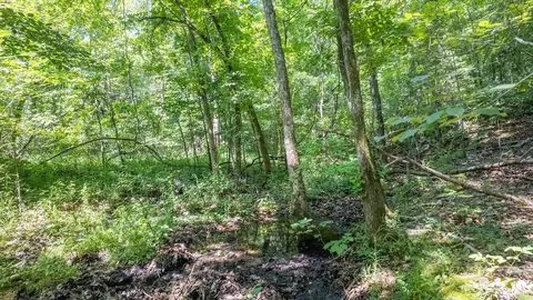 3 Upper Janes Creek Road, Ravenden, AR 72459 photo 5
