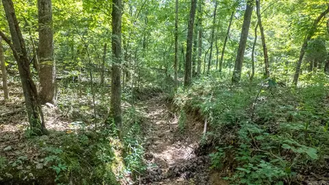 3 Upper Janes Creek Road, Ravenden, AR 72459 photo 10