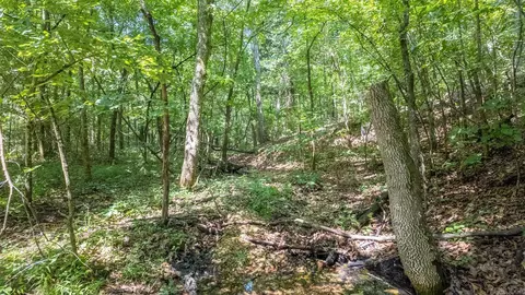 3 Upper Janes Creek Road, Ravenden, AR 72459 photo 4