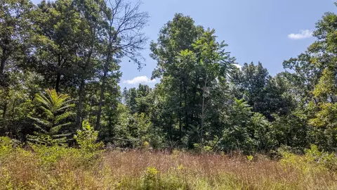 1 Upper Janes Creek Road, Ravenden, AR 72459 photo 8