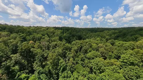 1 Upper Janes Creek Road, Ravenden, AR 72459 photo 19