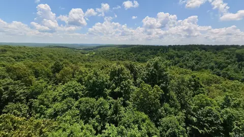 1 Upper Janes Creek Road, Ravenden, AR 72459 photo 22
