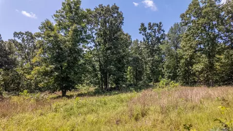 1 Upper Janes Creek Road, Ravenden, AR 72459 photo 6