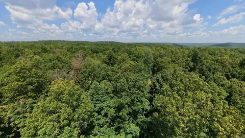 1 Upper Janes Creek Road, Ravenden, AR 72459 photo 23