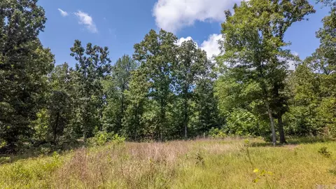 1 Upper Janes Creek Road, Ravenden, AR 72459 photo 7