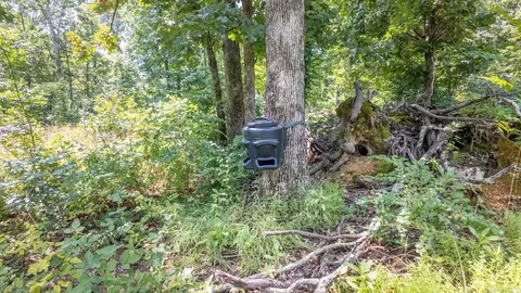 1 Upper Janes Creek Road, Ravenden, AR 72459 photo 9