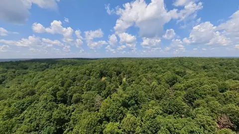 1 Upper Janes Creek Road, Ravenden, AR 72459 photo 16