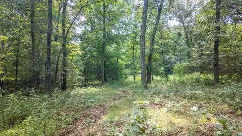 1 Upper Janes Creek Road, Ravenden, AR 72459 photo 12