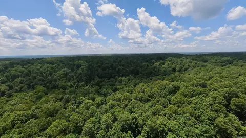 1 Upper Janes Creek Road, Ravenden, AR 72459 photo 15