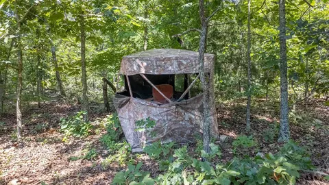 1 Upper Janes Creek Road, Ravenden, AR 72459 photo 5