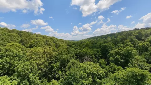 1 Upper Janes Creek Road, Ravenden, AR 72459 photo 20