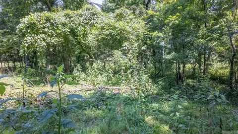 1 Upper Janes Creek Road, Ravenden, AR 72459 photo 4