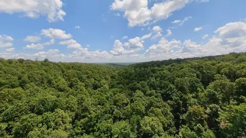 1 Upper Janes Creek Road, Ravenden, AR 72459 photo 17