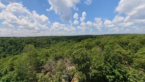 1 Upper Janes Creek Road, Ravenden, AR 72459 photo 21