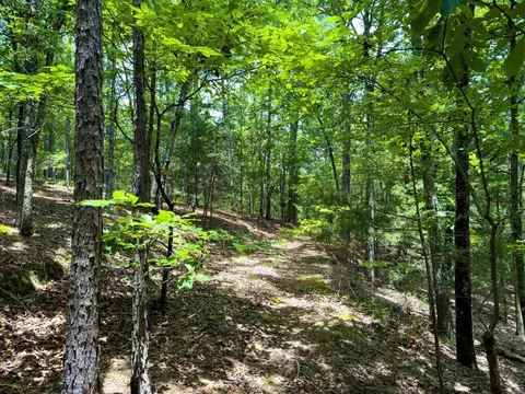 00 Ember Rd, Shirley, AR 72153 photo 4