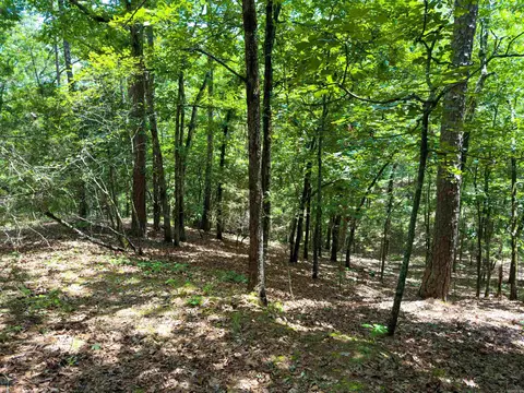 00 Ember Rd, Shirley, AR 72153 photo 8