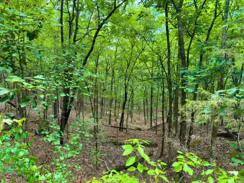 00 Ember Rd, Shirley, AR 72153 photo 2