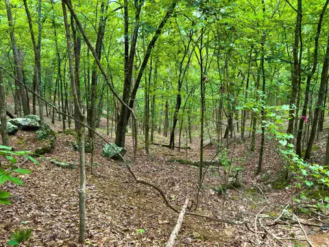 00 Ember Rd, Shirley, AR 72153 photo 3
