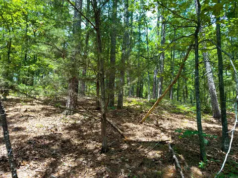 00 Ember Rd, Shirley, AR 72153 photo 6