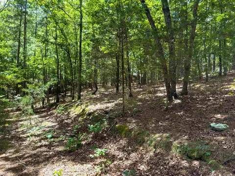 00 Ember Rd, Shirley, AR 72153 photo 5