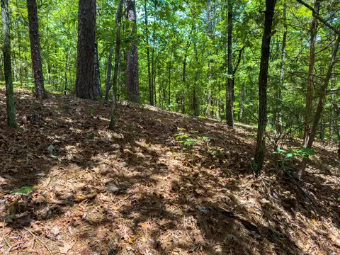 00 Ember Rd, Shirley, AR 72153 photo 7