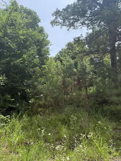 324 County Road 426, Rector, AR 72461 photo 7