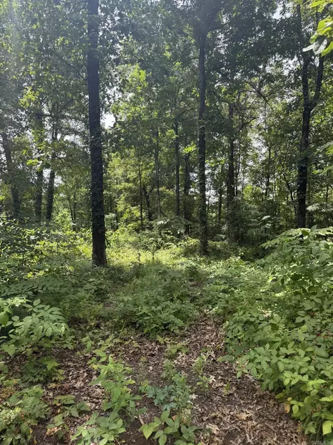 324 County Road 426, Rector, AR 72461 photo 4