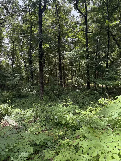 324 County Road 426, Rector, AR 72461 photo 5