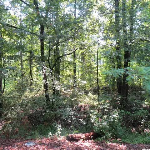 000 Highway 133, Wilmar, AR 71675