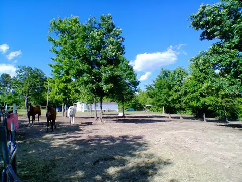 1417 Skyline Dr, Amity, AR 71921 photo 10