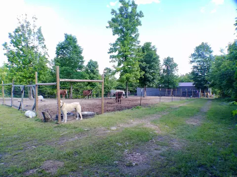 1417 Skyline Dr, Amity, AR 71921 photo 7