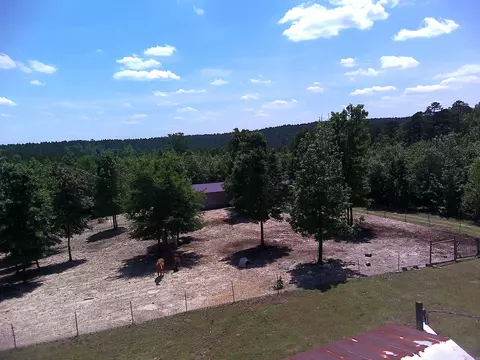 1417 Skyline Dr, Amity, AR 71921 photo 31