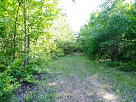 1417 Skyline Dr, Amity, AR 71921 photo 11