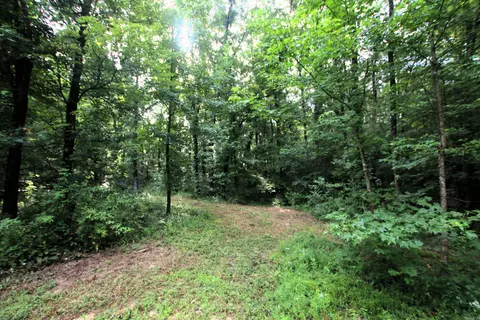 164 Reservior Rd, Springfield, AR 72157 photo 4